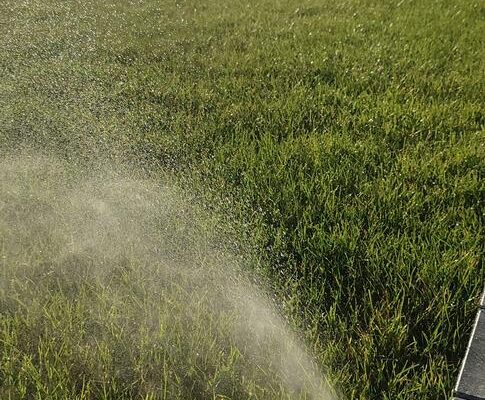 PHOTO-2023-11-28-10-33-35_3