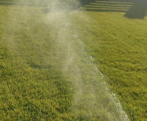 PHOTO-2023-11-28-10-33-36_2