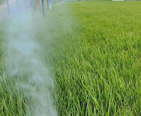 PHOTO-2023-11-28-10-33-37_2