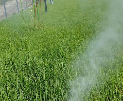 PHOTO-2023-11-28-10-33-38_1