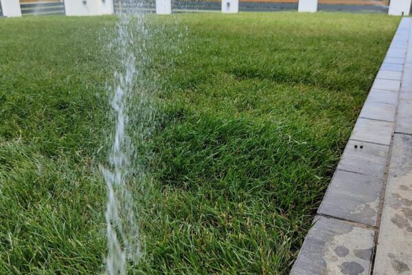 PHOTO-2023-11-28-10-33-41