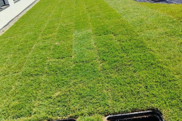 PHOTO-2023-11-28-10-33-41_3