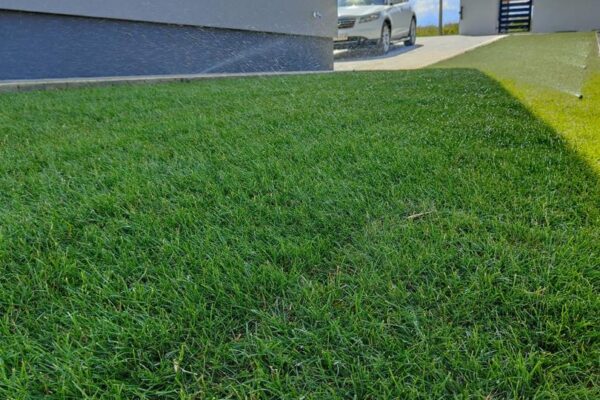 PHOTO-2023-11-28-10-33-44_3